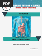 Anatomía del Abdomen y Pelvis | PDF | Abdomen | Sistema digestivo humano