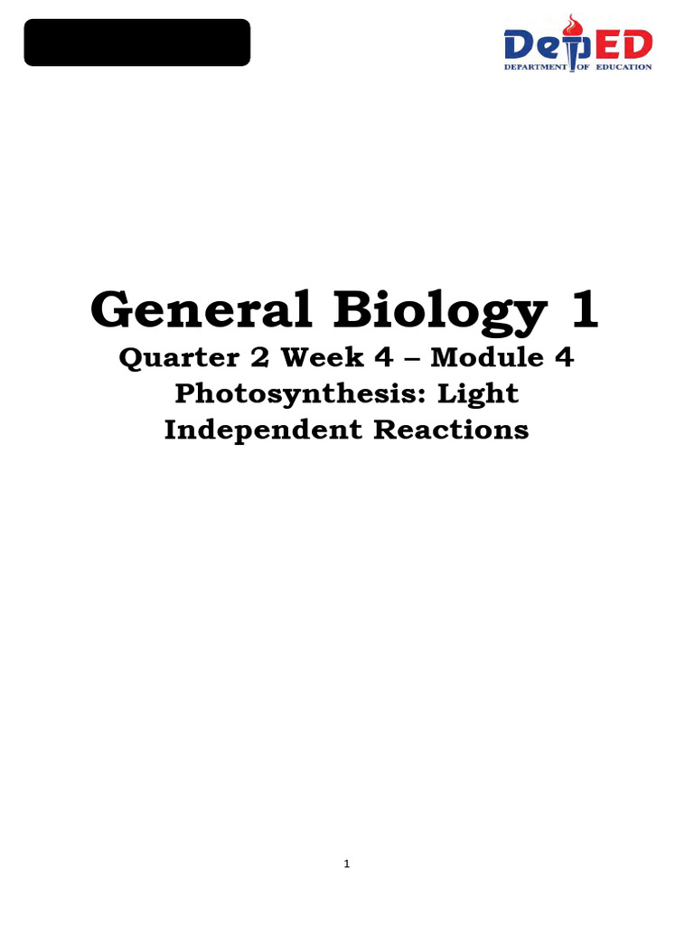 4 Q2-Biology1 | PDF | Photosynthesis | Metabolism