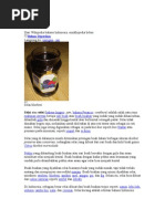 Download Selai by Ukhti Rukiyah Sapitri SN80239534 doc pdf