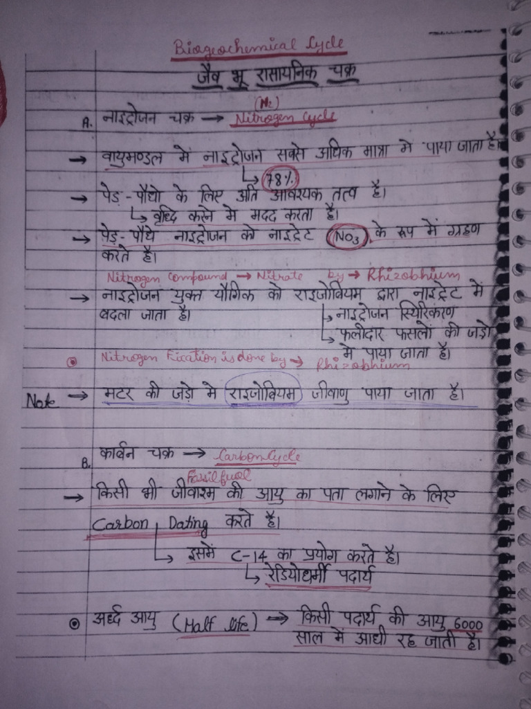 Biochemical Cycle Pdf