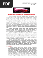 Download Arwana by Riko C Pribadi SN80241619 doc pdf