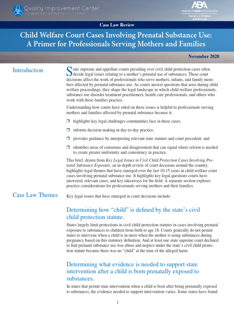 Prenatal Substance Use Case Law - Primer 508 | PDF | Substance Abuse ...