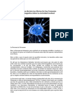 Que Riesgos Reviste Los Efectos de Una Tormenta Electromagnética Sobre La Actividad Cerebral