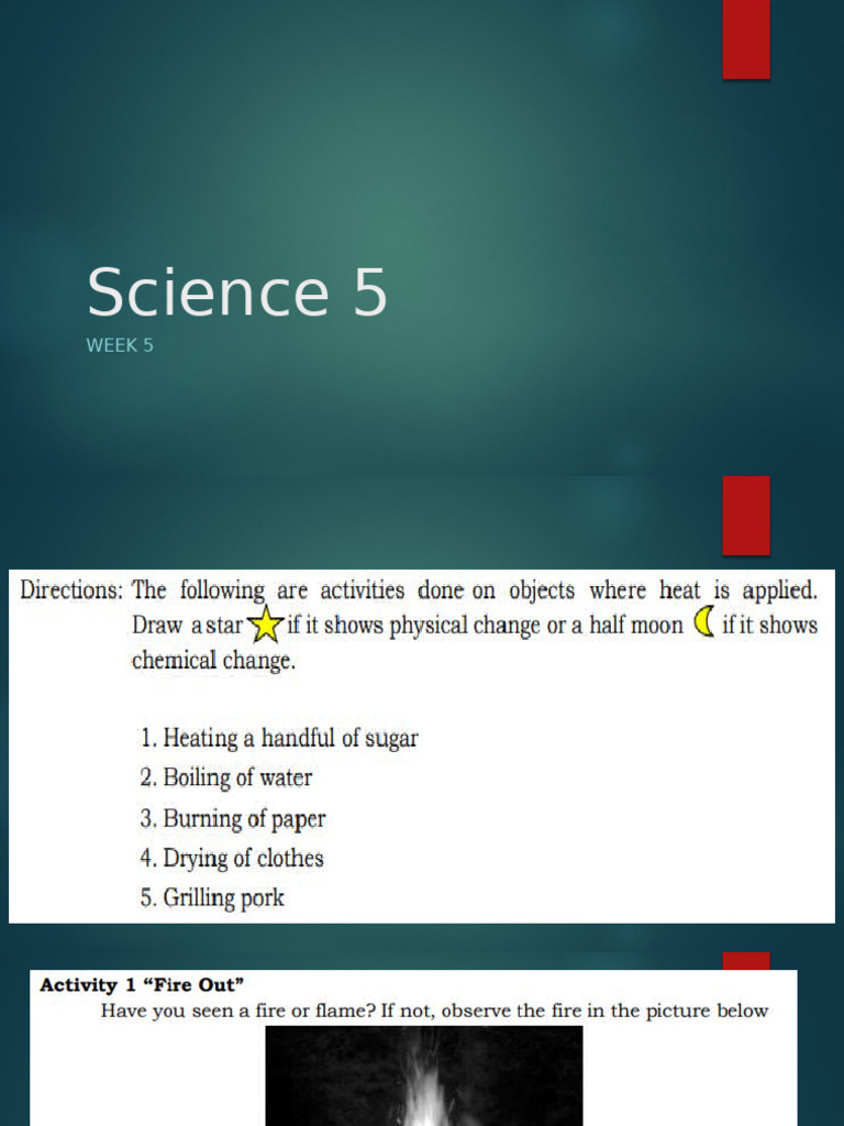 Science 5 | PDF