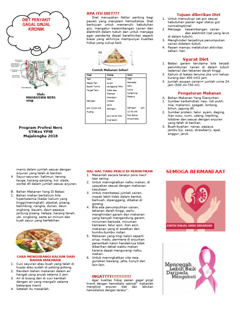 Leaflet Nutrisi CKD | PDF