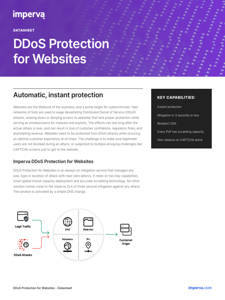 DDoS ProtectionForWebsites | PDF | Denial Of Service Attack | Computer ...