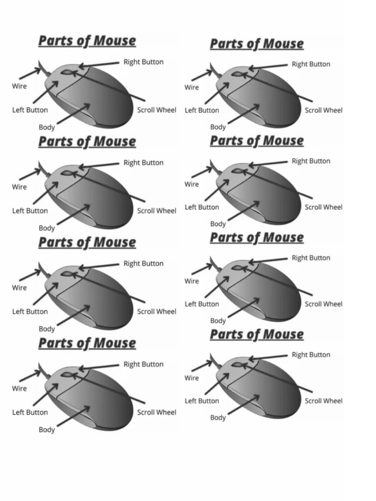 Parts of A Mouse | PDF