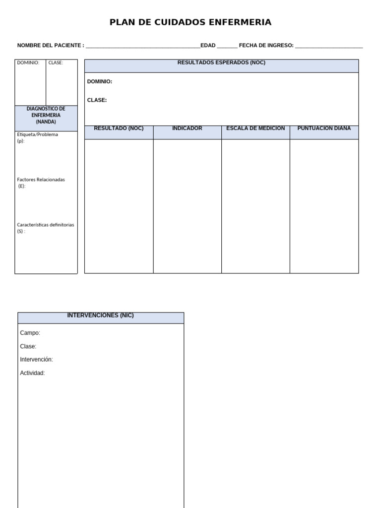Plan de Cuidados de Enfermería Detallado | PDF