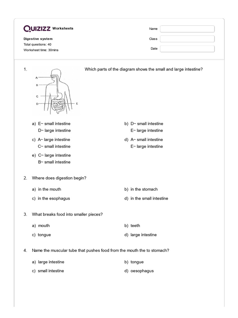 Digestive system quizizz pdf digestion human digestive system