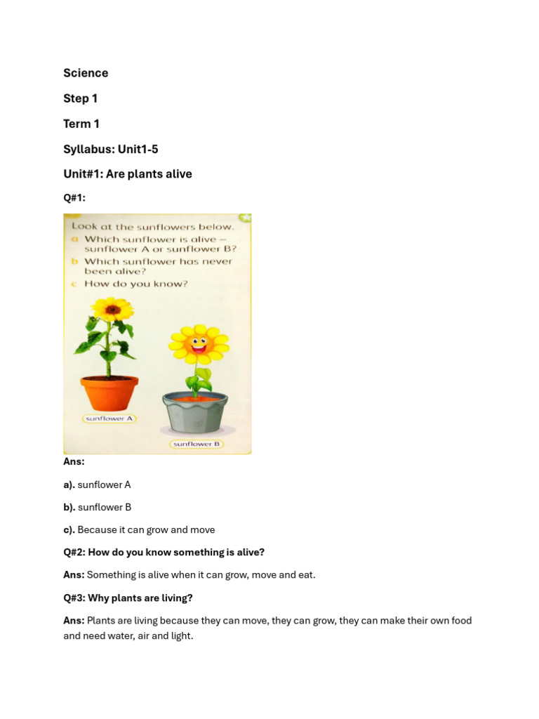 Step 1 Science | PDF | Senses | Flowers
