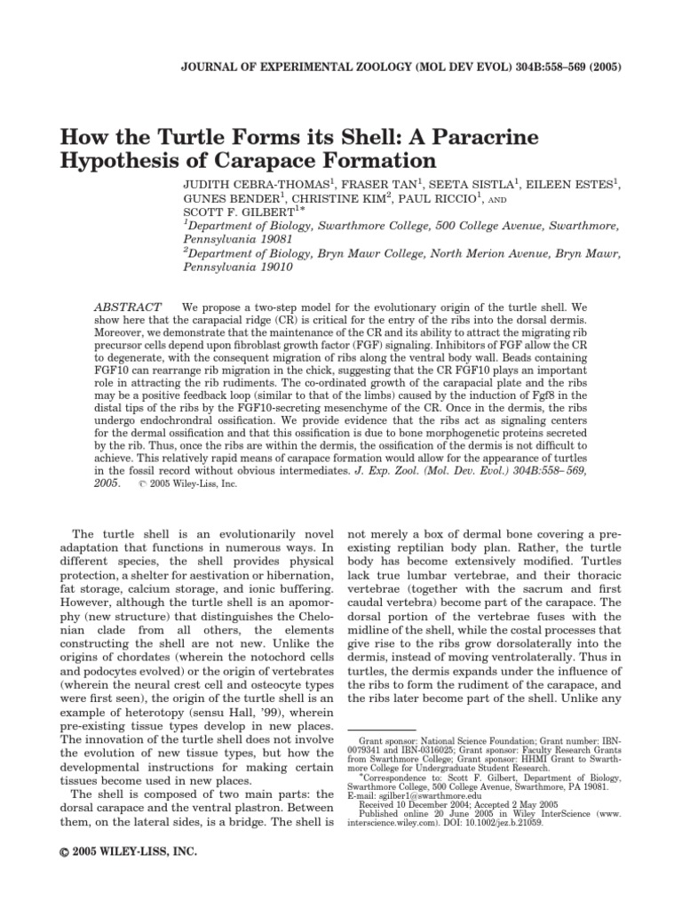 How The Turtle Forms Its Shell. A Paracrine Hypothesis of Carapace ...