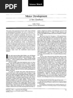 Download Esther Thelen - Motor Development A New Synthesis by Vlad David SN80252783 doc pdf