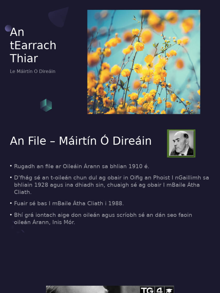 An Siopa Leabhar | Baile Átha Cliath, image size:768x1024