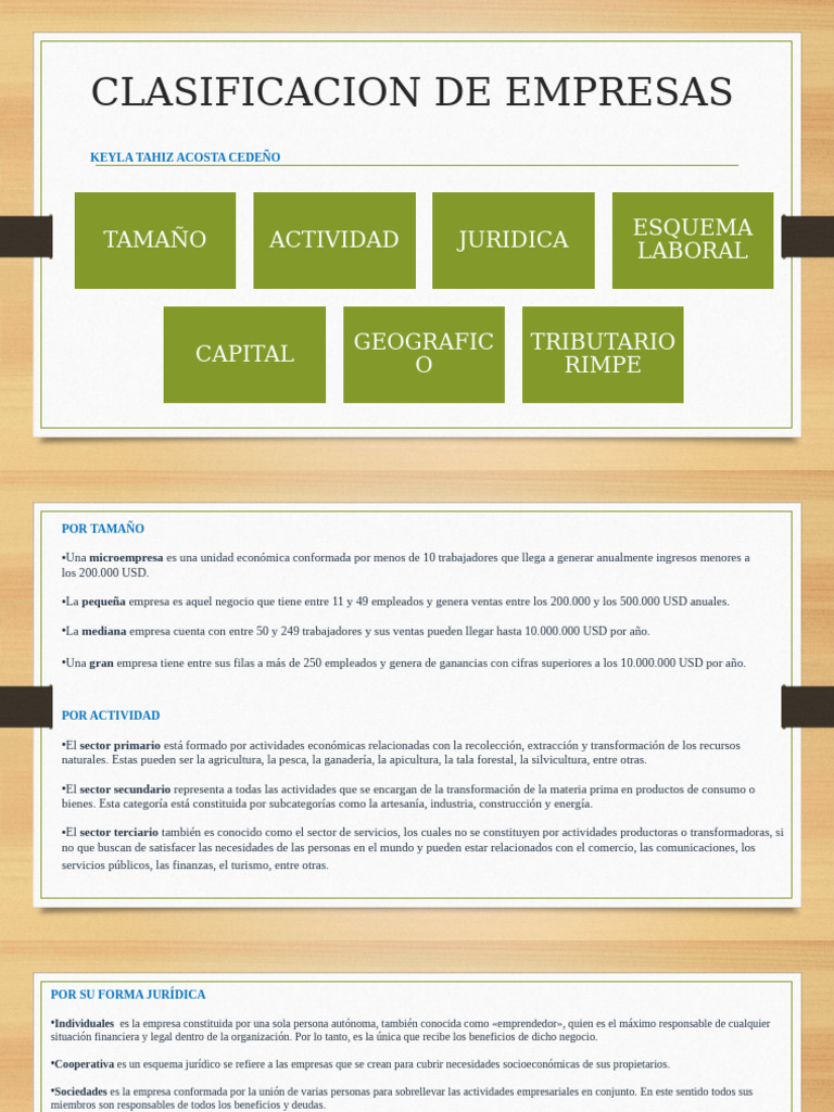 Clasificación de Empresas por Tamaño y Tipo | PDF | Business | Sociedad