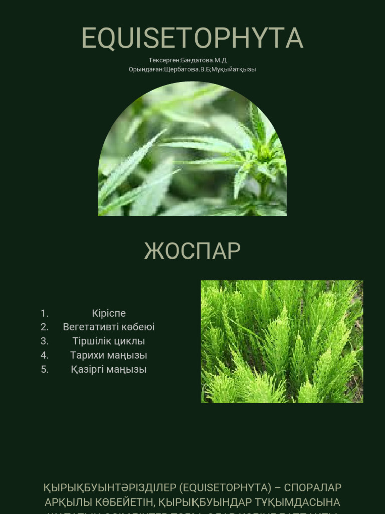 Мәскеу облысының Дубна қаласындағы секс