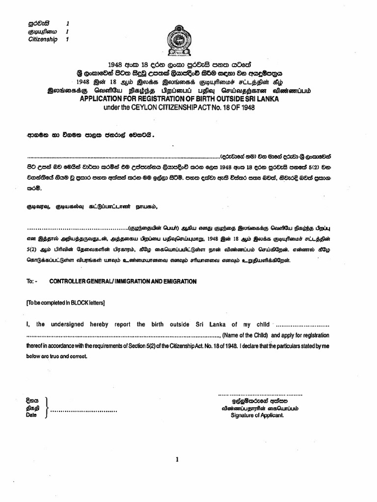 Application For Registration of Birth Citizenship Form 01 | PDF