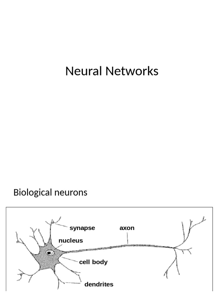 Understanding Neural Networks Basics | PDF | Theoretical Computer ...