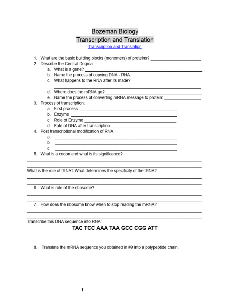 Transcription+and+Translation Docx+ | PDF