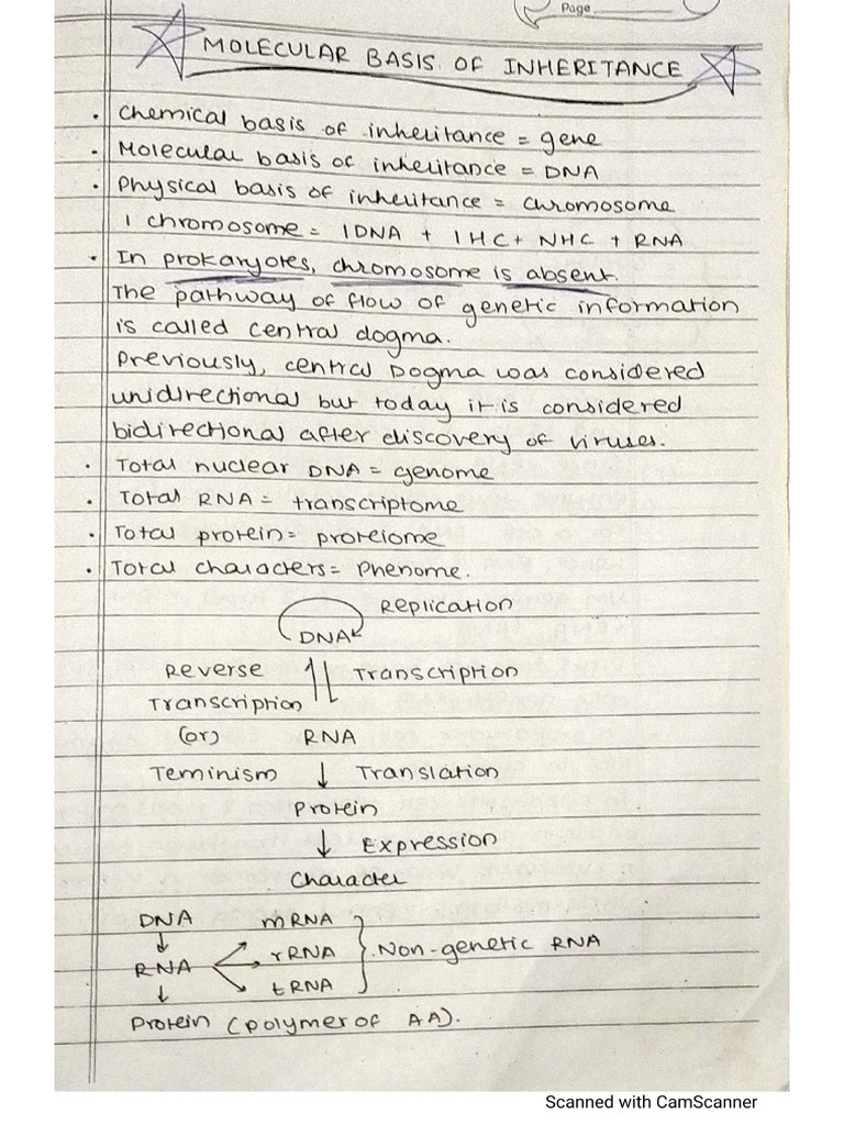MBI Chirag Sir Notes | PDF