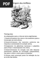 Anfibios