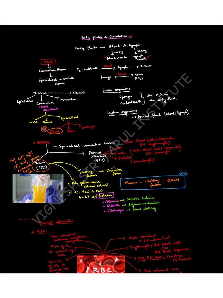 Body Fluids | PDF