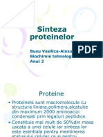 Sinteza Proteinelor