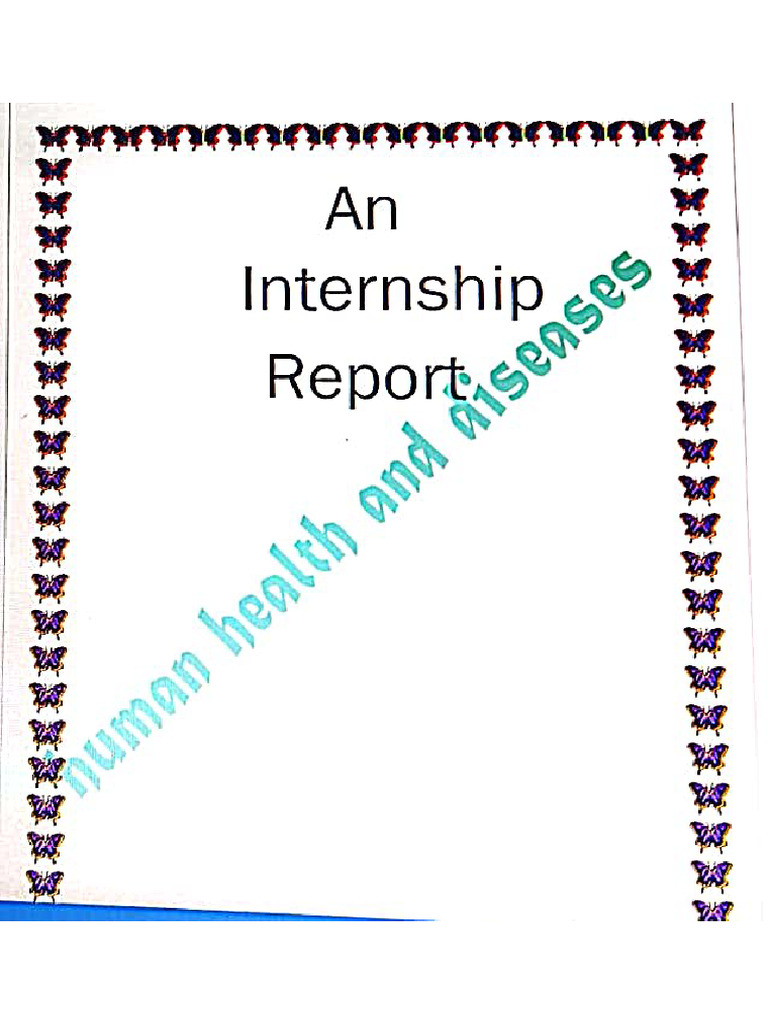 Internship | PDF