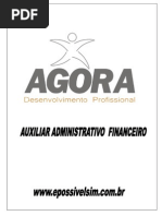 Apostila de Auxilar Adm e Financeiro