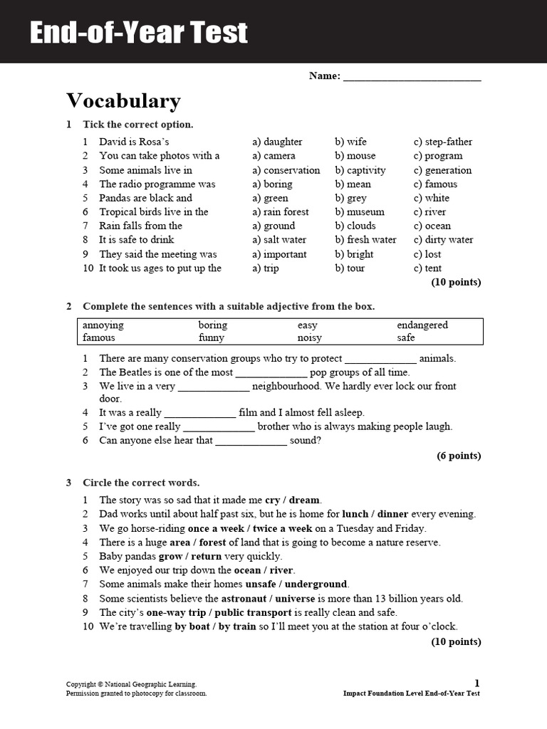Impact Foundation Level End of Year Test 0 | PDF