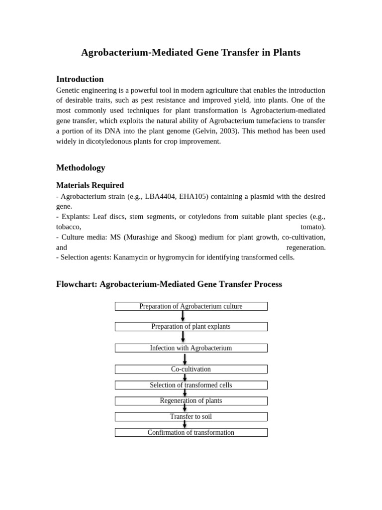 Agrobacterium Gene Transfer Flowchart | PDF | Transformation (Genetics ...
