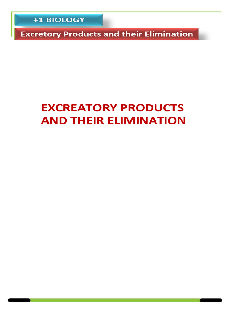 plus-one-biology-chp-16-worksheet-bodda0j-pdf-waste-metabolism