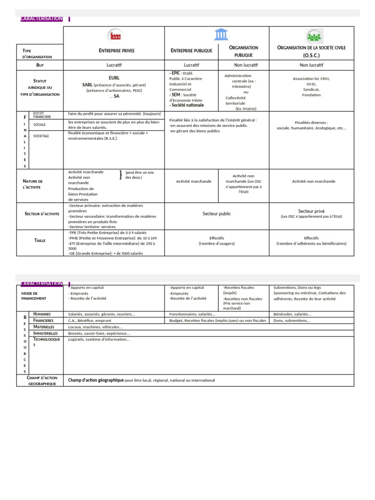 Tableau de Caractérisation des Organisations | PDF | Business | Impôts