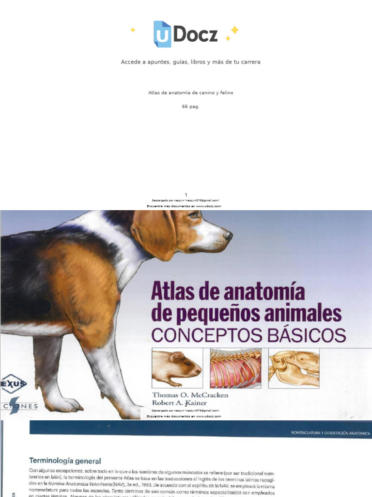 Anatomia De Animales Pdf