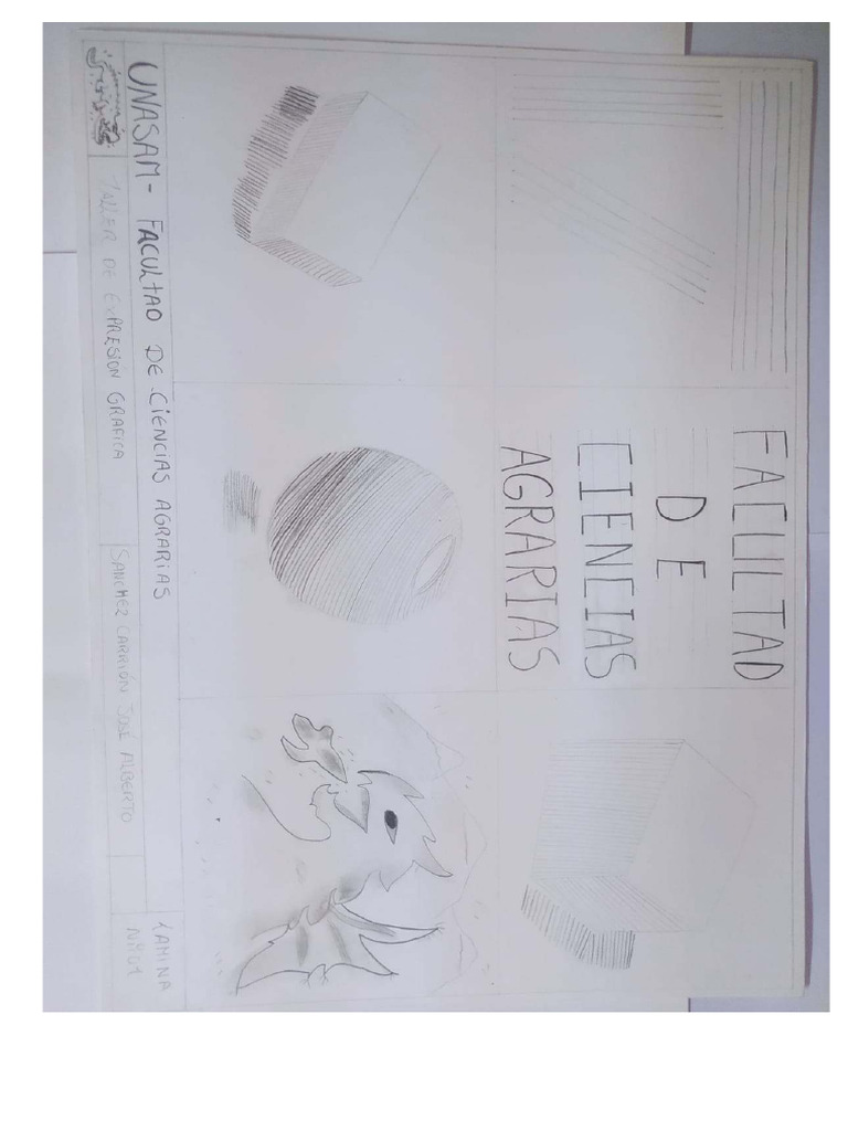 20 Laminas | PDF