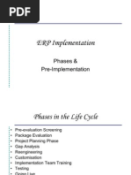 ERP Implementation4