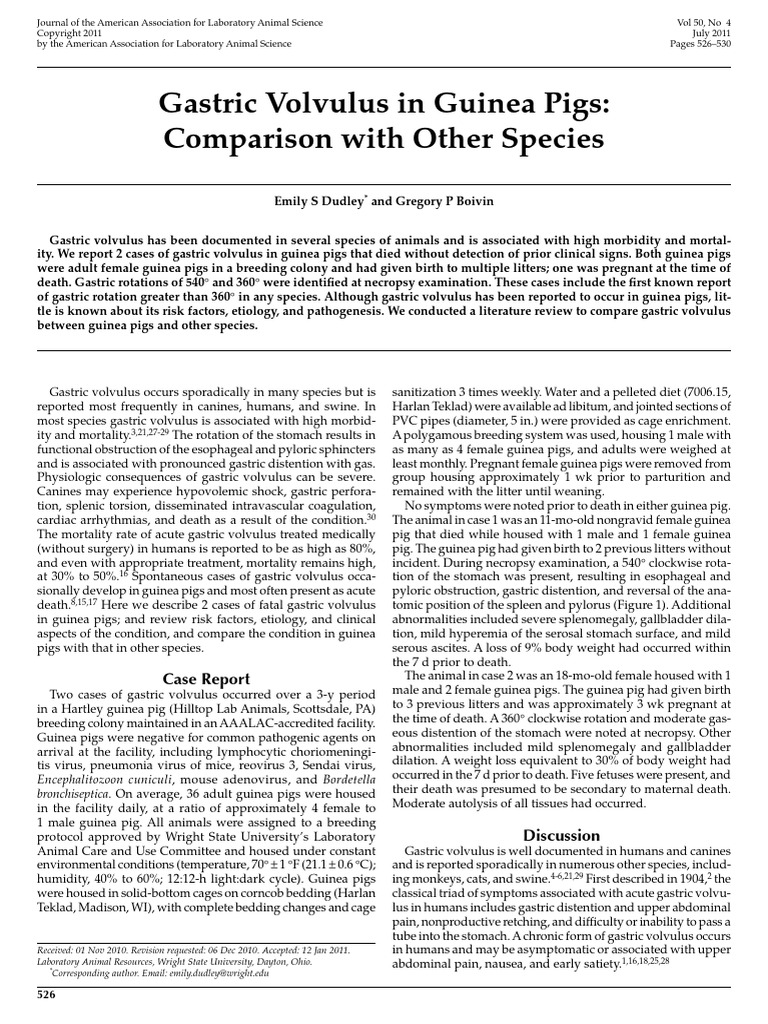 guinea pig volvuo gastric | PDF | Stomach | Guinea Pig - Just For Guinea Pigs With Sensitive Stomachs