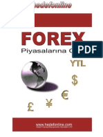 Forex Pi̇yasalarina Giris