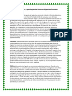 Enfermedades y Patologías Del Sistema Digestivo Humano