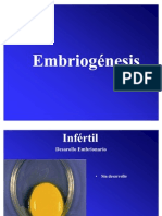 Embriogenesis