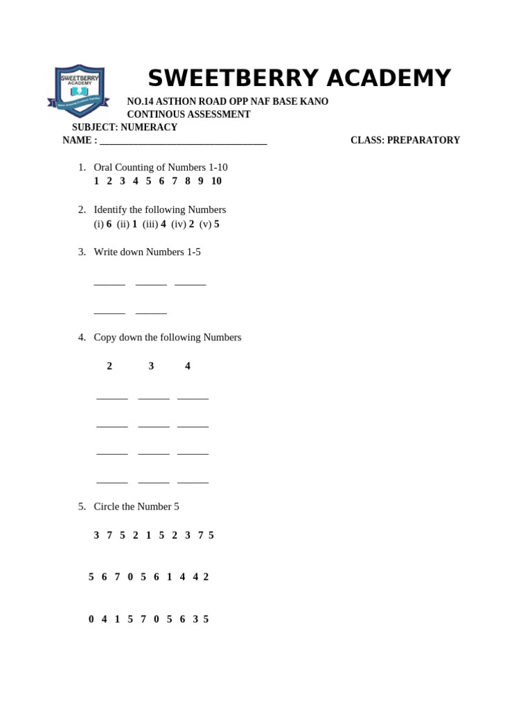 Preparatory Class Numeracy | PDF