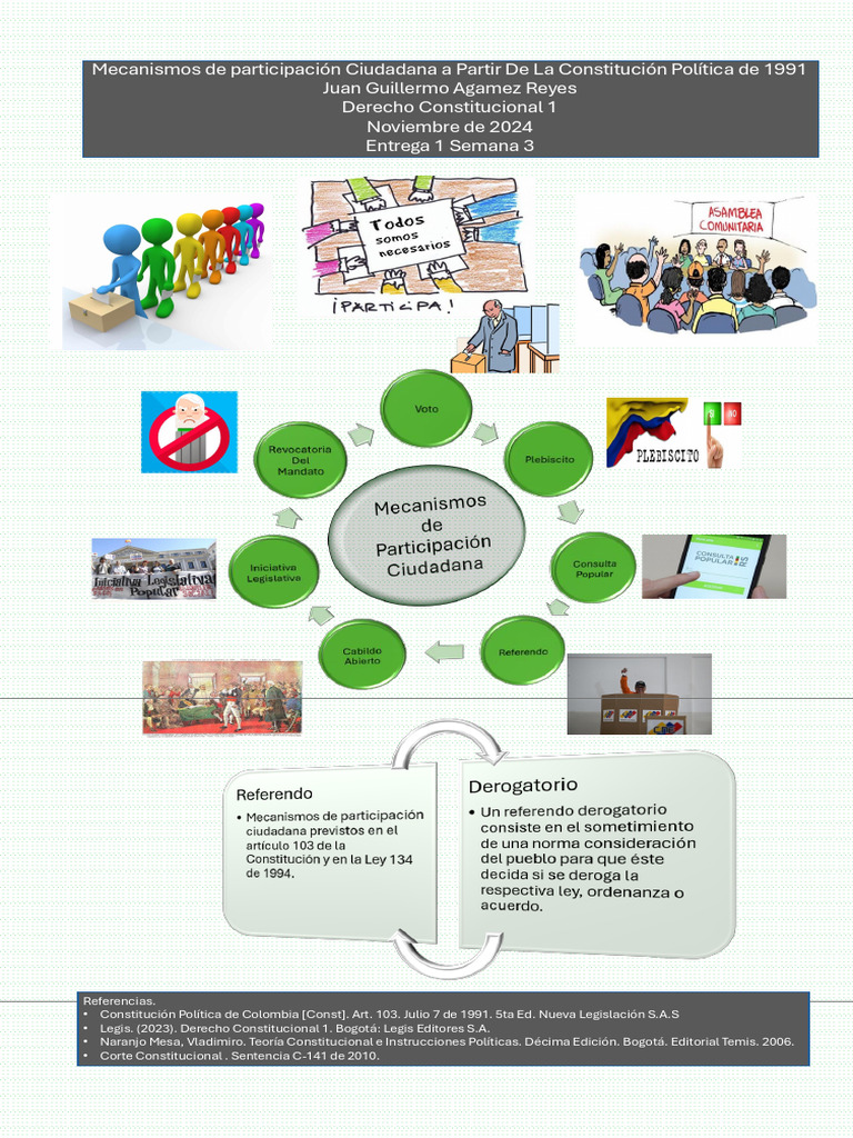 Mecanismos de Participación Ciudadana en Colombia | PDF