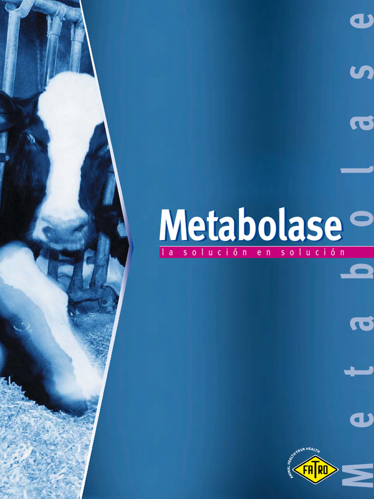 Metabolase: Equilibrio Metabólico en Bovinos | PDF | Metabolismo ...