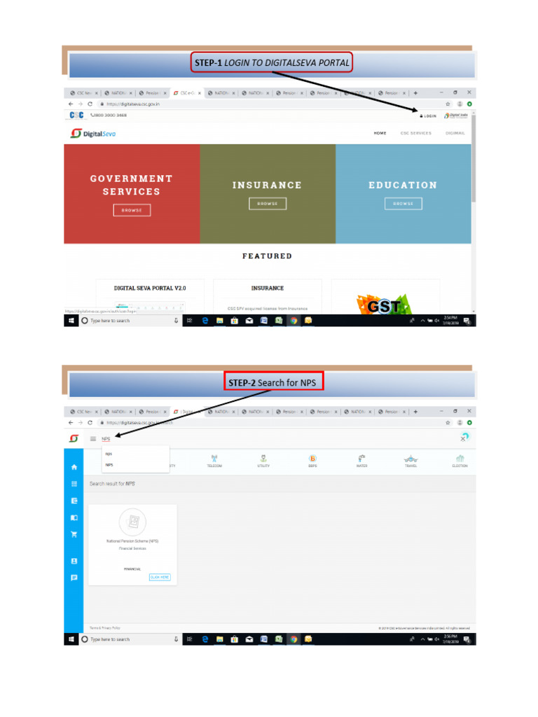 NPS Process Flow | PDF