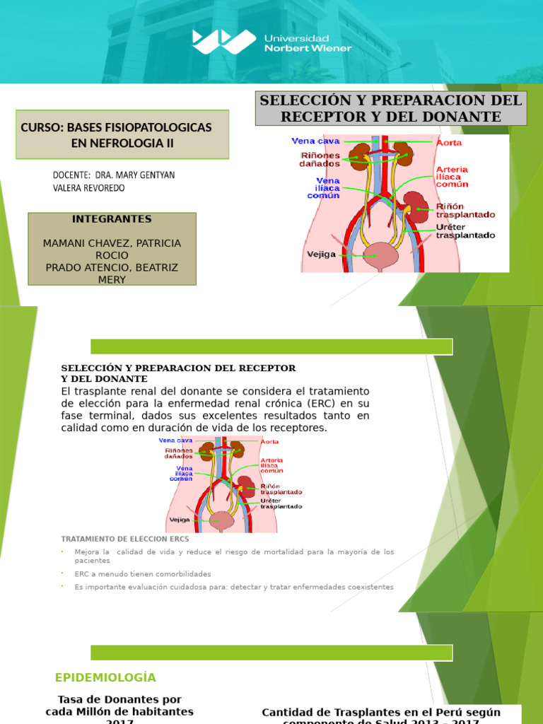 Donacion de Riñon 1 | PDF | Obesidad | Diabetes