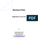 Business Plan Magnetite