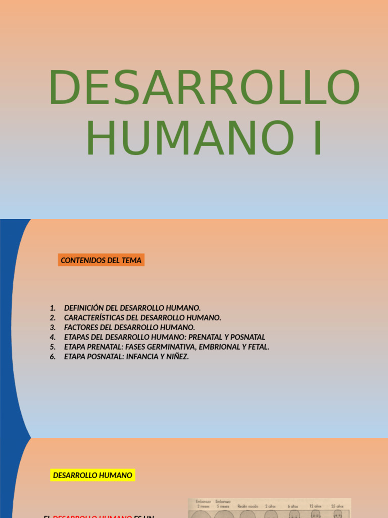 Etapas y Factores del Desarrollo Humano | PDF | Adultos | Embrión