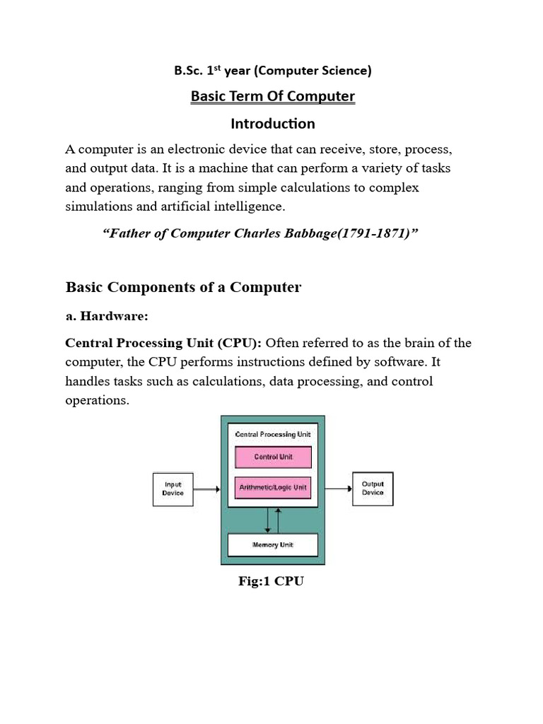 Basic of Computer | PDF | Computer Data Storage | Operating System