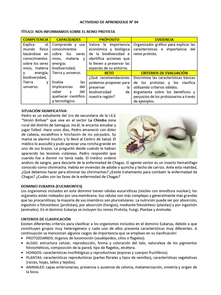 Actividad de Aprendizaje n4 Eda 8 | PDF | Eucariotas | Algas