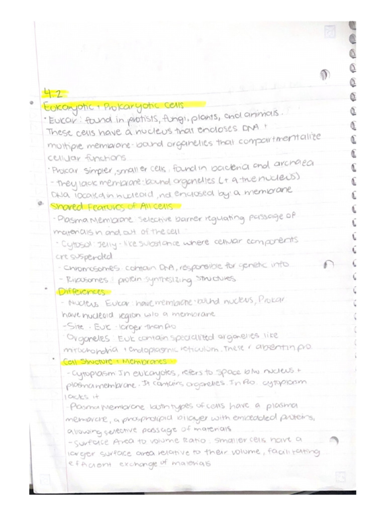 Ch4 Notes 2 | PDF