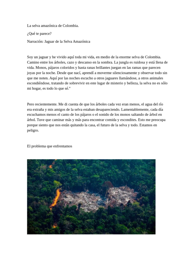 Deforestación y su impacto en la Amazonía | PDF | Selva | Agua